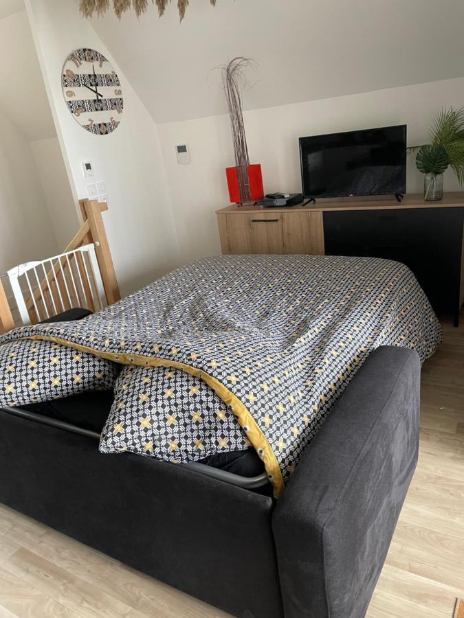 Bel Appartement « The Lion King » Proche Disney Montévrain Dış mekan fotoğraf
